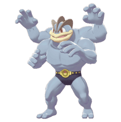 Machamp product image