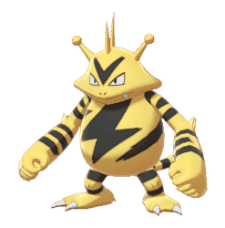 Electabuzz[SWSH]