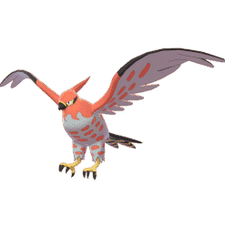 Talonflame[SWSH]