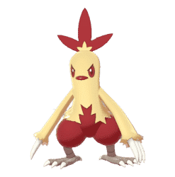Alternative view of Combusken[SWSH]