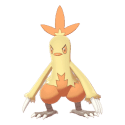 combusken product images