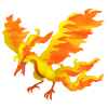 moltres gallery image