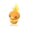 torchic product image