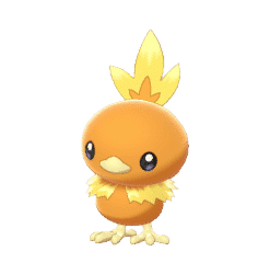 torchic product image