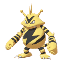 Electabuzz, Pokémon