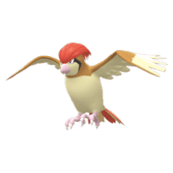 Pidgeotto pokegens