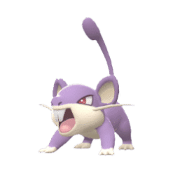 Rattata pokegens