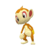 Chimchar pokemon