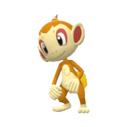 Chimchar pokemon