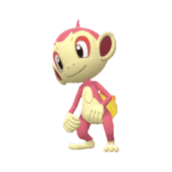 Chimchar gallery image