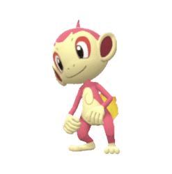 Chimchar gallery image