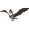 Staraptor pokemon