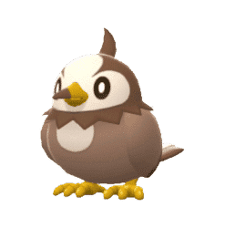 Alternative view of Starly [Legends Arceus]
