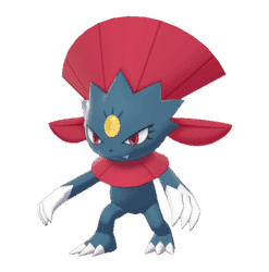 Weavile pokemon