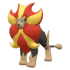 Pyroar pokemon