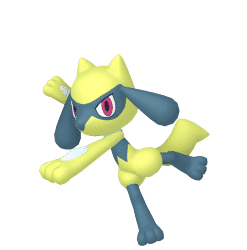 Alternative view of Riolu [SV]