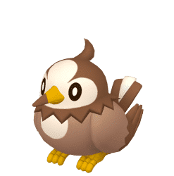 Alternative view of Starly [SV]