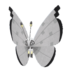 Alternative view of Vivillon [SV]