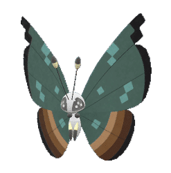 Alternative view of Vivillon-Jungle [SV]
