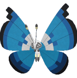 Alternative view of Vivillon-Marine [SV]