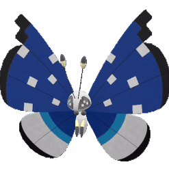 Alternative view of Vivillon-Polar [SV]