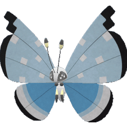 Alternative view of Vivillon-Tundra [SV]