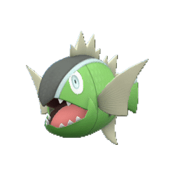 Alternative view of Basculin-White [SV]