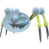 Araquanid pokemon