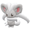 Cinccino pokemon