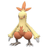 Combusken pokemon