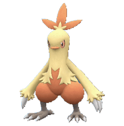 Combusken pokemon