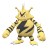 Electabuzz pokemon