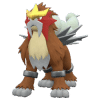 Entei pokemon