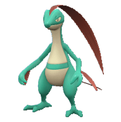 Alternative view of Grovyle [SV]