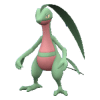 Grovyle pokemon