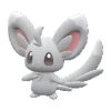 Minccino pokemon