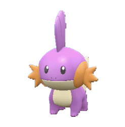 Alternative view of Mudkip [SV]