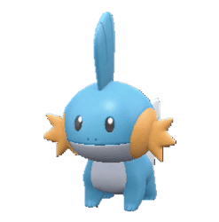 Mudkip pokemon
