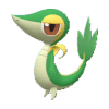 Snivy pokemon