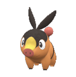 Tepig pokemon