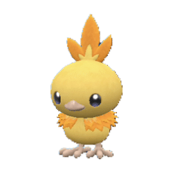 Torchic gallery image