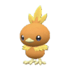 Torchic pokemon