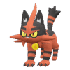 Torracat pokemon