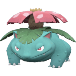 Venusaur pokemon