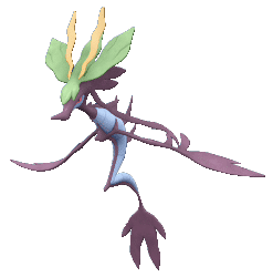 Alternative view of Dragalge [ZA]