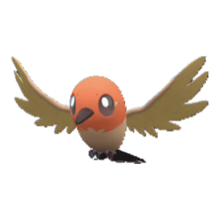 Alternative view of Fletchling [ZA]