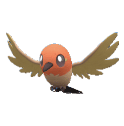 Alternative view of Fletchling [ZA]
