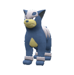 Alternative view of Houndour [ZA]