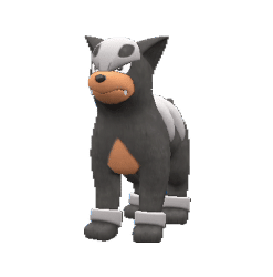 Houndour main image