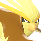 Pidgeot_gallery_image